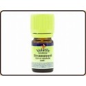 Volatile Sinaasappel zoet etherische olie 10 ml