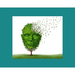 Workshop Dementie en Pijnbeleving