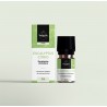 Volatile Eucalyptus citriodora etherische olie 10 ml