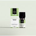 Volatile Rozemarijn (Rosmarinus officinalis) etherische olie 10 ml