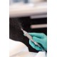Workshop Frezen Pedicure